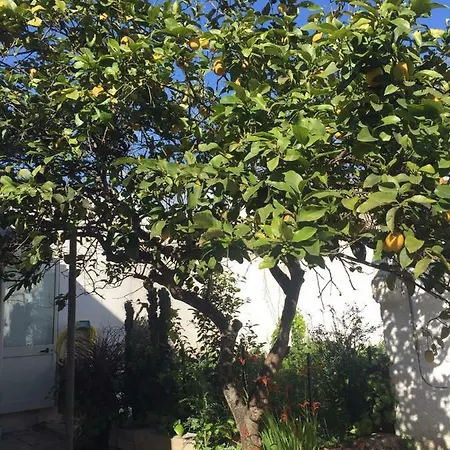 Casa Mau E Gio *